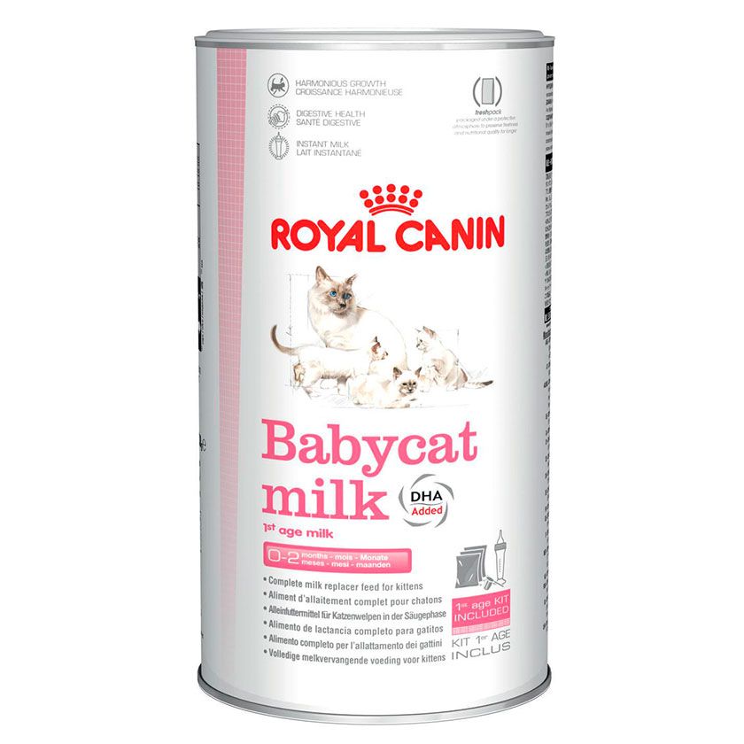 Leche para gato Babycat Royal Canin 300 g